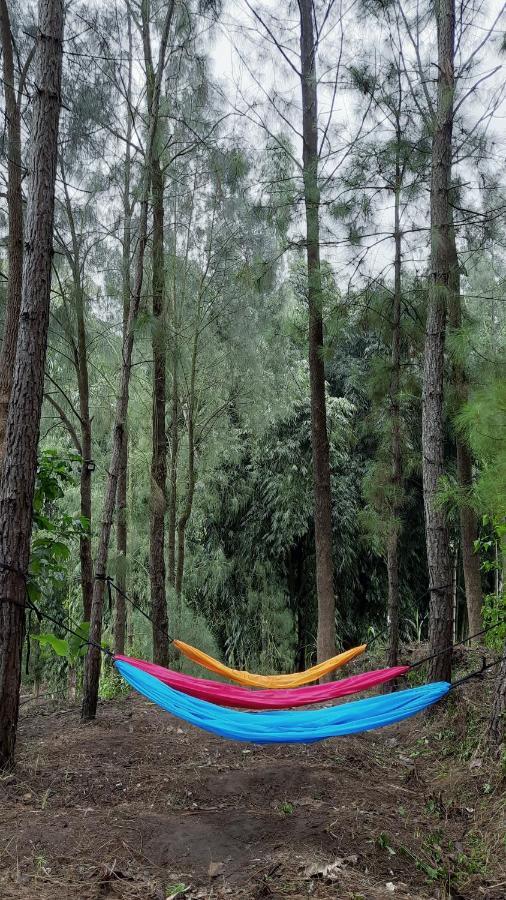 Bromo Dormitory & Cabin Εξωτερικό φωτογραφία