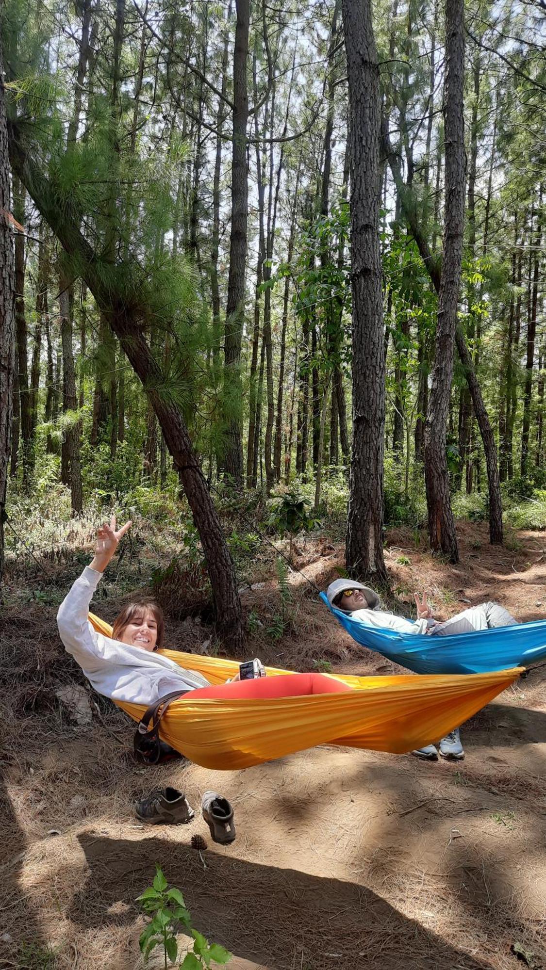 Bromo Dormitory & Cabin Εξωτερικό φωτογραφία