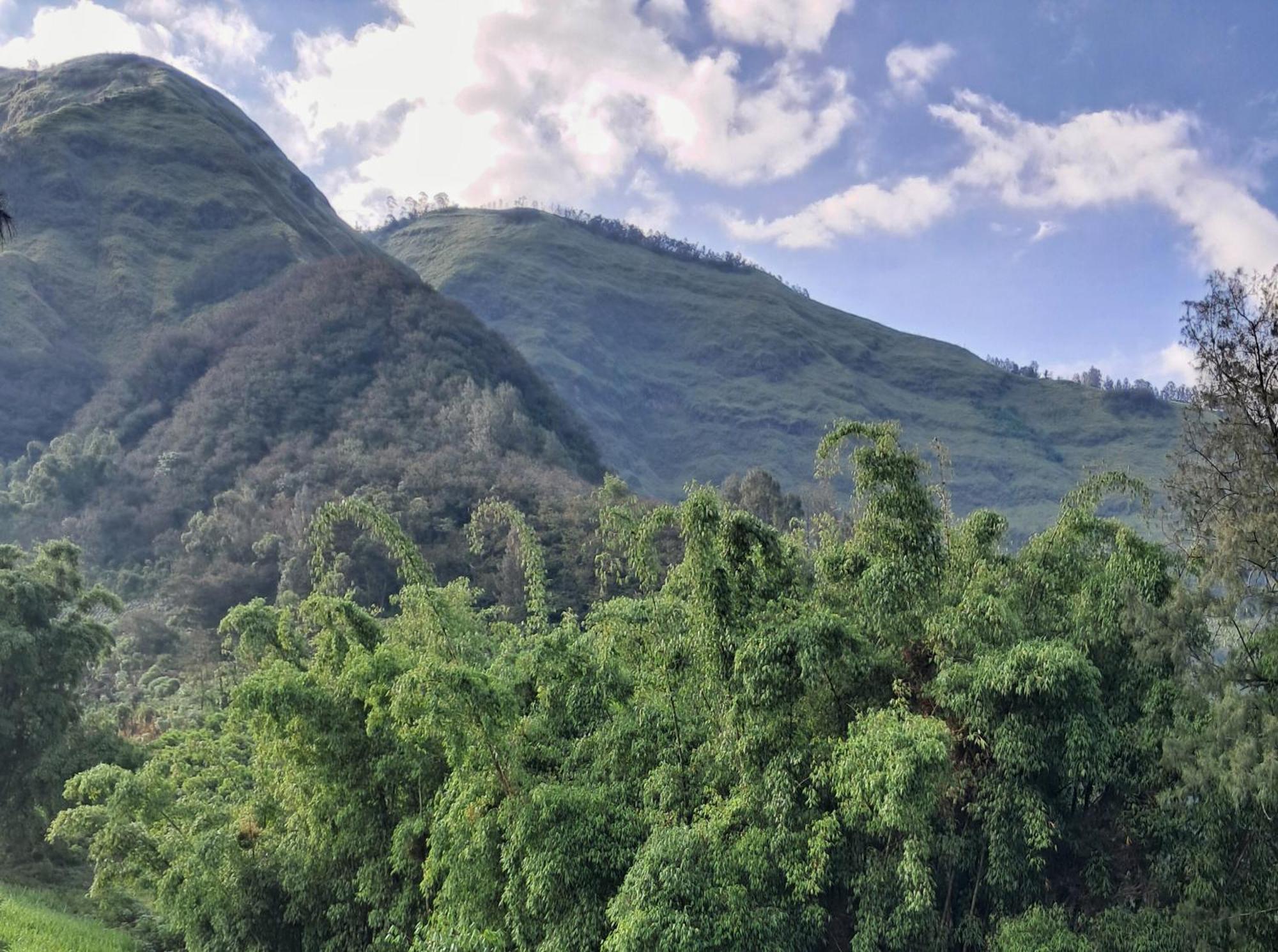 Bromo Dormitory & Cabin Εξωτερικό φωτογραφία